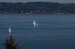 015-DSD_7136-rz.jpg